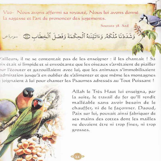 Histoires Des Prophètes Racontées Par Le Coran - Tome 7 - Editions Sana - Daoud, Souleyman, Younes (que la paix soit sur eux)