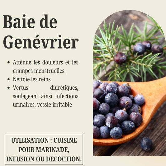 Sachet de Baie de Genévrier