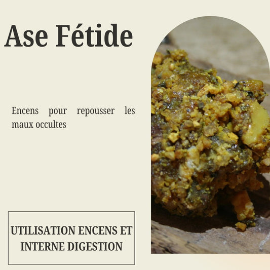 Ase Fétide