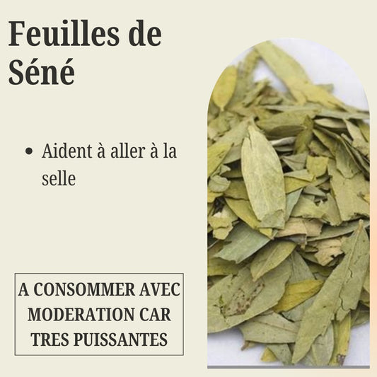 Sachet de feuilles de Séné