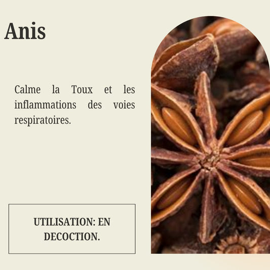 Sachet d'Anis