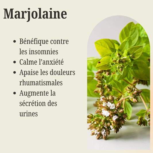 Sachet de Marjolaine