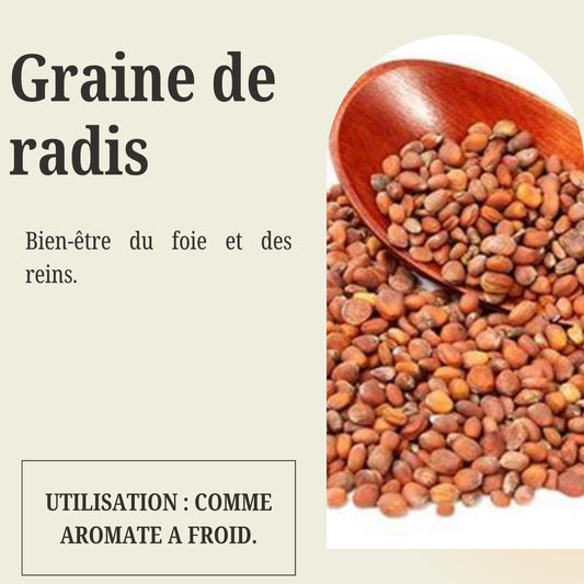 Sachet de Graine de Radis