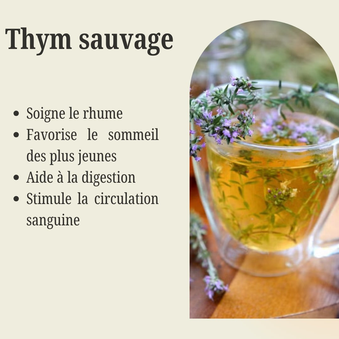 Sachet de Thym sauvage