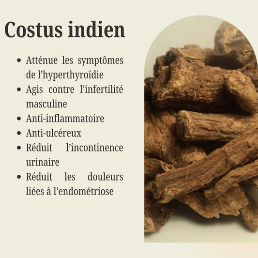 Sachet de Costu indien