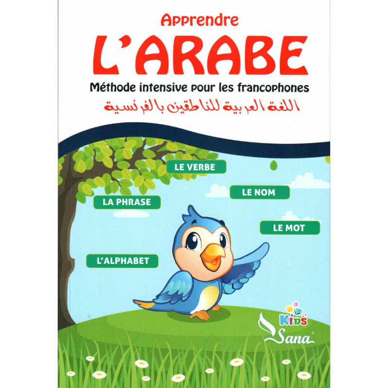 Apprendre l’Arabe : Méthode intensive pour les francophones