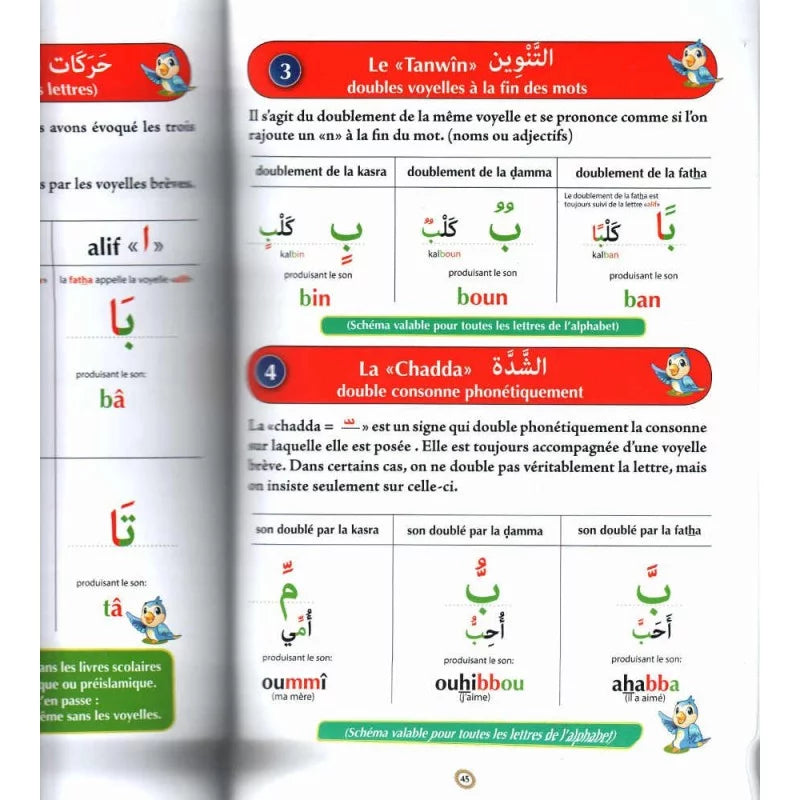 Apprendre l’Arabe : Méthode intensive pour les francophones