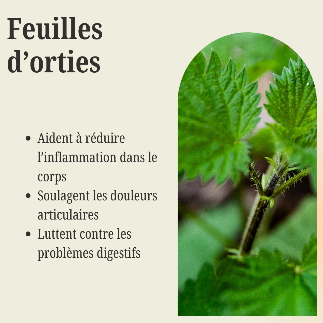 Sachet de Feuilles d'orties