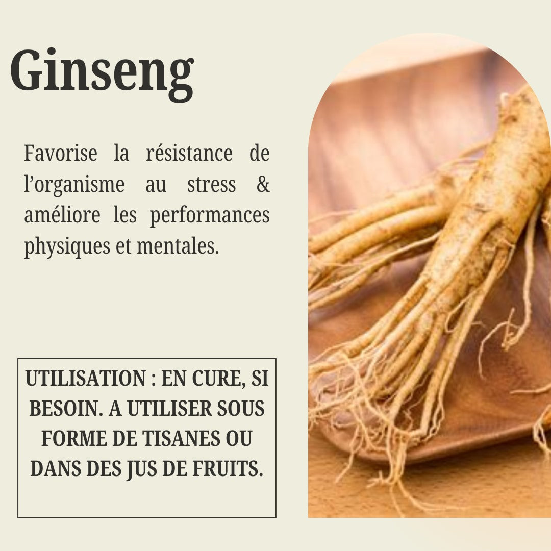 Sachet de Ginseng