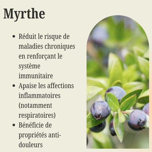 Sachet de Myrthe