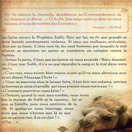 Histoires Des Prophètes Racontées Par Le Coran - Tome 2 - Editions Sana - Houd, Salih, Loth (que la paix soit sur eux)